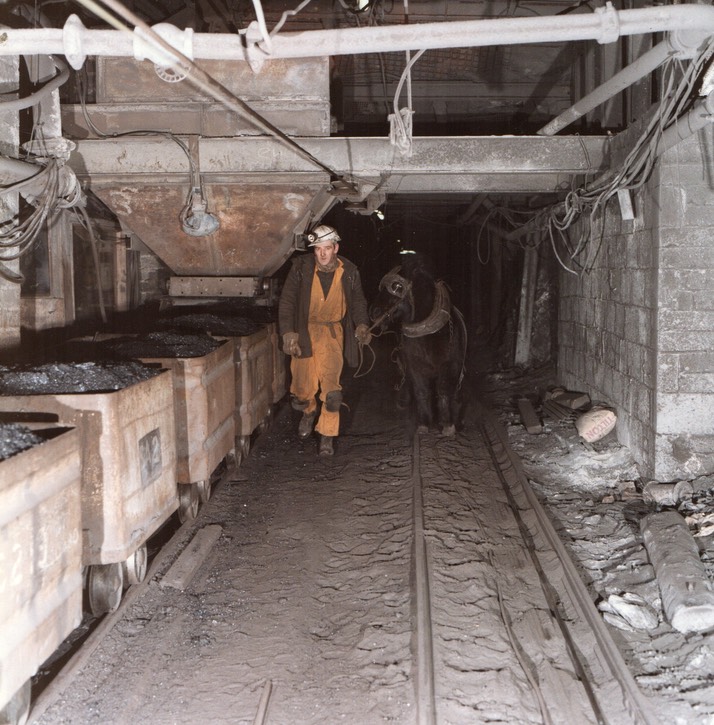 BOBBY UNDERGROUND RETIRED TO CARLISLE