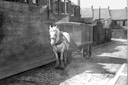 coop horse and cart in 1940