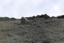 devil's stones