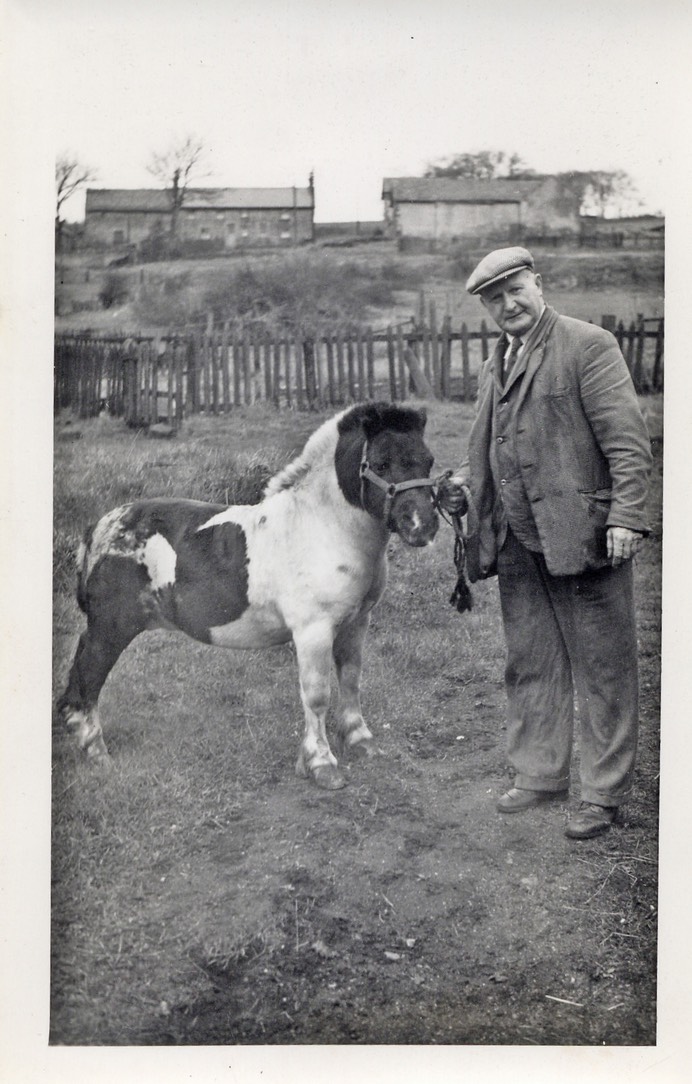 man with pony