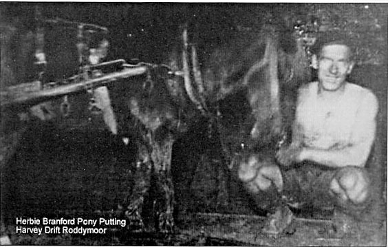 pony putting
