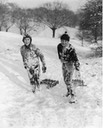 sledging fun