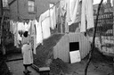 wash day