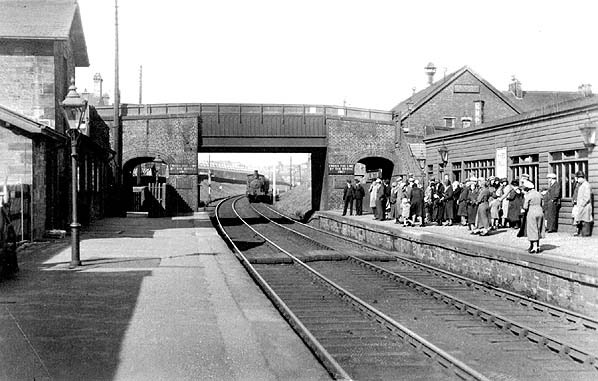 willington platform